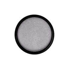 PXP 44010 Pearl Silver  Pearl poeder 11